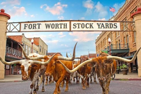 1 HERO_Herd_Stockyards_Sign_HDR_Web72DPI